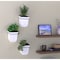 Mayne Valencia 8in Wall Mount Planter - White 3-Pack 3871-W - alternate 8